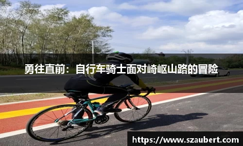 勇往直前：自行车骑士面对崎岖山路的冒险