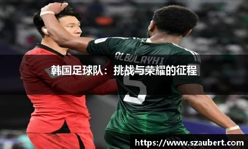 韩国足球队：挑战与荣耀的征程